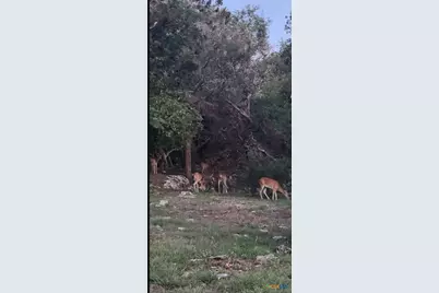 13305 Harbor Drive, Temple, TX 76502 - Photo 38