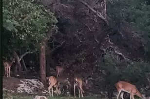 13305 Harbor Dr, Temple, TX 76502 - Photo 38