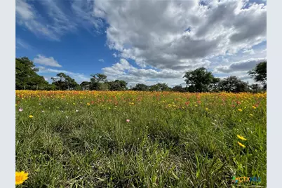 15395 E State Hwy 111, Yoakum, TX 77995 - Photo 6