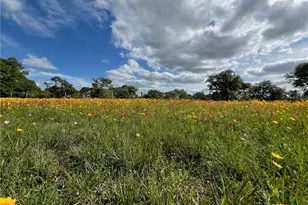 15395 E State Hwy 111, Yoakum, TX 77995 - Photo 6
