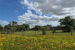 15395 E State Hwy 111, Yoakum, TX 77995 - Photo 2