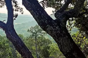 961 Buttercup Ln, Wimberley, TX 78676 - Photo 28