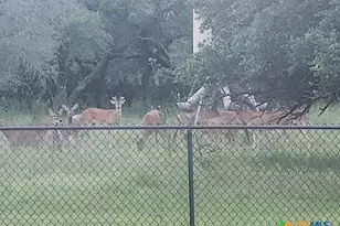 400 Indian Hills Rd, Gatesville, TX 76528 - Photo 42