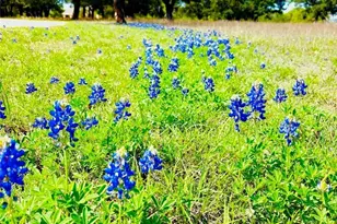 400 Indian Hills Rd, Gatesville, TX 76528 - Photo 40