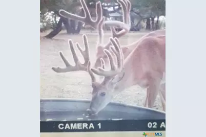 400 Indian Hills Road, Gatesville, TX 76528 - Photo 40