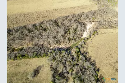 8160 Fm 2412, Gatesville, TX 76528 - Photo 4