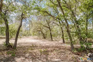 205 Sendera Crossing, La Vernia, TX 78121 - Photo 48