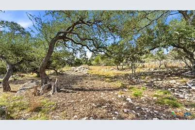 1013 Napoli, New Braunfels, TX 78132 - Photo 10