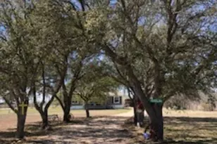 1188 Haeckerville Rd, Cibolo, TX 78108 - Photo 2