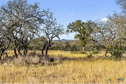 Lot 91 Axis Circle, Fredericksburg, TX 78624 - Photo 4
