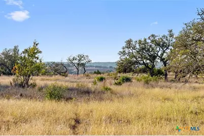 Lot 91 Axis Circle, Fredericksburg, TX 78624 - Photo 8