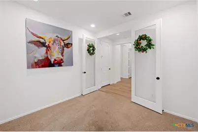 655 Vireos Street, New Braunfels, TX 78132 - Photo 10