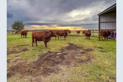 198 County Road 310, Yoakum, TX 77995 - Photo 44