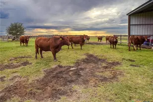 198 Co Rd 310, Yoakum, TX 77995 - Photo 44