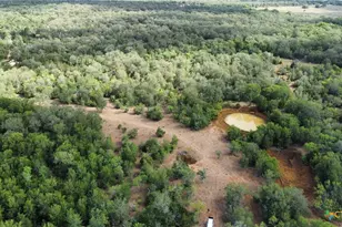 637 Cr 281, Harwood, TX 78632 - Photo 1