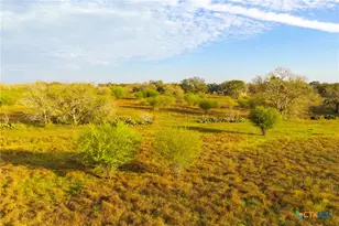 Tract 7 Fm 1117, Seguin, TX 78155 - Photo 18