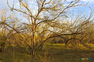 Tract 7 Fm 1117, Seguin, TX 78155 - Photo 20