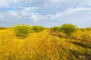 Tract 7 Fm 1117, Seguin, TX 78155 - Photo 26