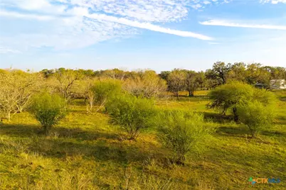 Tract 7 Fm 1117, Seguin, TX 78155 - Photo 6