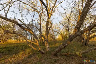 Tract 7 Fm 1117, Seguin, TX 78155 - Photo 12