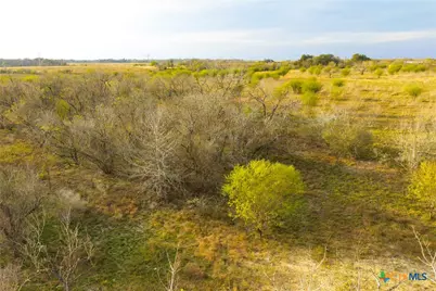 Tract 7 Fm 1117, Seguin, TX 78155 - Photo 34