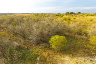 Tract 7 Fm 1117, Seguin, TX 78155 - Photo 34