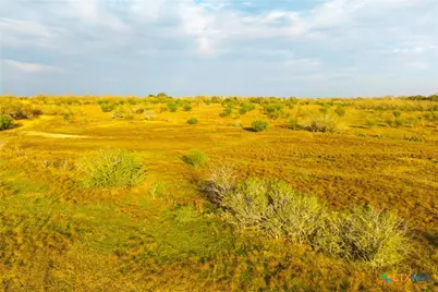 Tract 7 Fm 1117, Seguin, TX 78155 - Photo 16