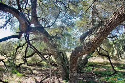 415 County Road 457, Hallettsville, TX 77964 - Photo 48