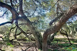 415 Co Rd 457, Hallettsville, TX 77964 - Photo 48