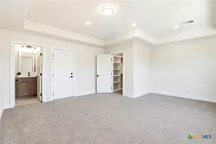 742 Rayner Ranch Blvd, Spring Branch, TX 78070 - Photo 24