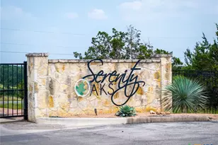 742 Rayner Ranch Blvd, Spring Branch, TX 78070 - Photo 38