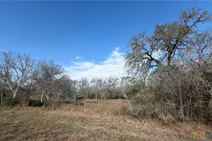 10102 US Hwy 90A, Hallettsville, TX 77964 - Photo 2