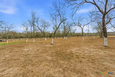 1278 Fm 812, Cedar Creek, TX 78612 - Photo 6