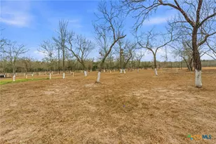 1278 FM812, Cedar Creek, TX 78612 - Photo 6