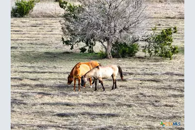 5542 Fm 2484, Salado, TX 76571 - Photo 18