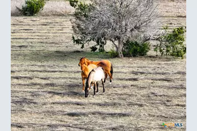 5542 Fm 2484, Salado, TX 76571 - Photo 20