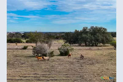 5542 Fm 2484, Salado, TX 76571 - Photo 14