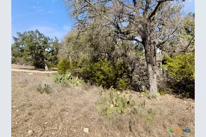 1075 Pegasus Drive, Spring Branch, TX 78070 - Photo 10