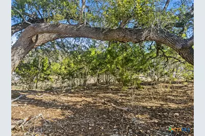 1075 Pegasus Drive, Spring Branch, TX 78070 - Photo 16