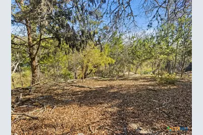 1075 Pegasus Drive, Spring Branch, TX 78070 - Photo 12