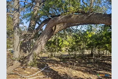 1075 Pegasus Drive, Spring Branch, TX 78070 - Photo 4