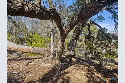 1075 Pegasus Drive, Spring Branch, TX 78070 - Photo 6