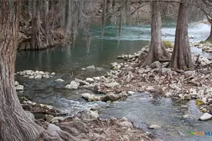 1651 Gruene Grass, New Braunfels, TX 78130 - Photo 48