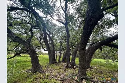285 Donnie Drive, Lampasas, TX 76550 - Photo 18
