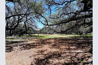 285 Donnie Drive, Lampasas, TX 76550 - Photo 6