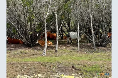 285 Donnie Drive, Lampasas, TX 76550 - Photo 12