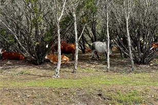 285 Donnie Dr, Lampasas, TX 76550 - Photo 12