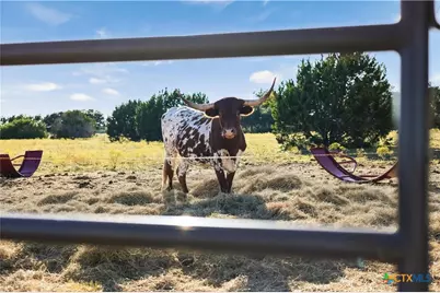 111 County Road 253, Bertram, TX 78605 - Photo 36