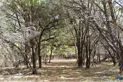 Tbd Fm-2843, Salado, TX 76571 - Photo 10