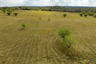 Tract 3 Fm 713, Dale, TX 78616 - Photo 4